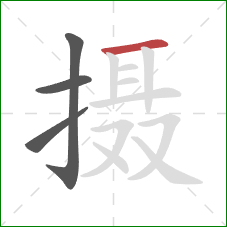 摄的笔顺第4画：横