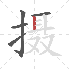 摄的笔顺第5画：竖