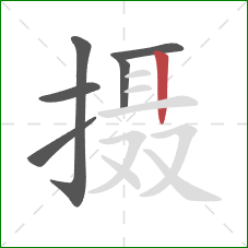 摄的笔顺第6画：竖