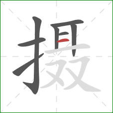 摄的笔顺第8画：横