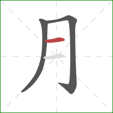 月的笔顺第3画：横