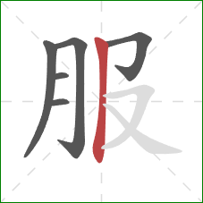 服的笔顺第6画：竖