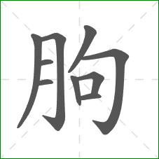 朐的笔顺