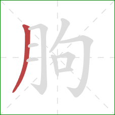 朐的笔顺第1画：撇