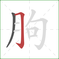 朐的笔顺第2画：横折钩