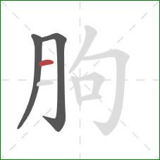 朐的笔顺第3画：横