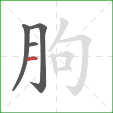 朐的笔顺第4画：横