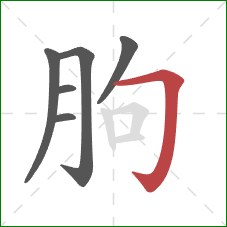 朐的笔顺第6画：横折钩