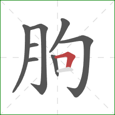朐的笔顺第8画：横折