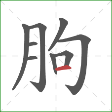 朐的笔顺第9画：横