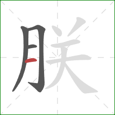 朕的笔顺第4画：横