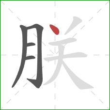 朕的笔顺第5画：点