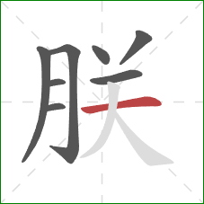 朕的笔顺第8画：横