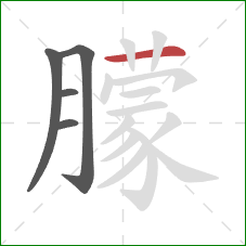 朦的笔顺第5画：横