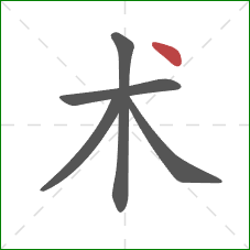 术的笔顺第5画：点