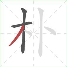 朴的笔顺第3画：撇