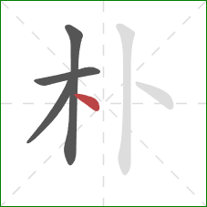 朴的笔顺第4画：点