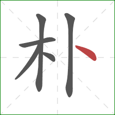 朴的笔顺第6画：点