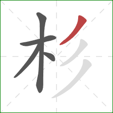 杉的笔顺第5画:撇 杉的笔顺第5画:撇