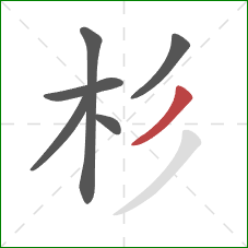 杉的笔顺第6画:撇 杉的笔顺第6画:撇