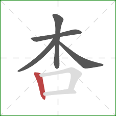 杏的笔顺第5画：竖