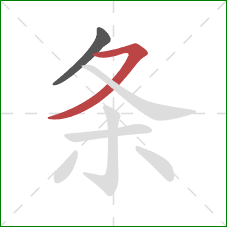 条的笔顺第2画：横撇