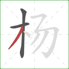 杨的笔顺第3画：撇