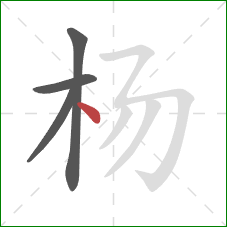 杨的笔顺第4画：点
