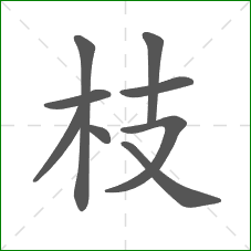 枝的笔顺