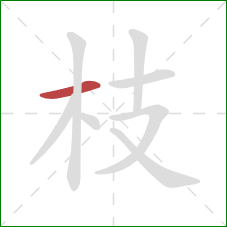 枝的笔顺第1画：横