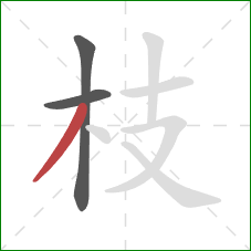 枝的笔顺第3画：撇