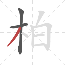 柏的笔顺第3画：撇