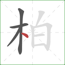 柏的笔顺第4画：点