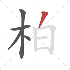 柏的笔顺第5画：撇