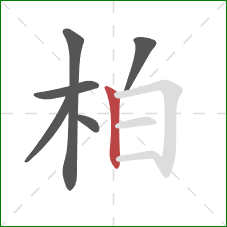 柏的笔顺第6画：竖