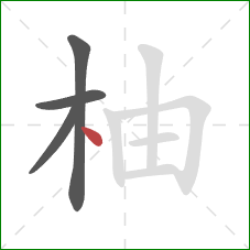 柚的笔顺第4画：点