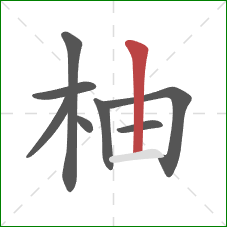 柚的笔顺第8画：竖