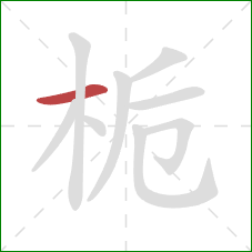 栀的笔顺第1画:横 栀的笔顺第1画:横