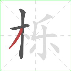 栎的笔顺第3画:撇 栎的笔顺第3画:撇