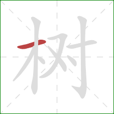 树的笔顺第1画：横