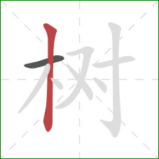 树的笔顺第2画：竖