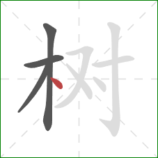 树的笔顺第4画：点