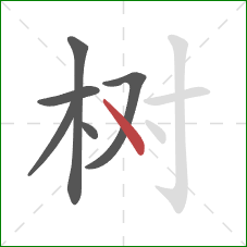 树的笔顺第6画：点