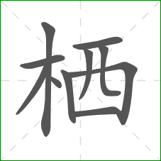 栖的笔顺 栖的笔顺