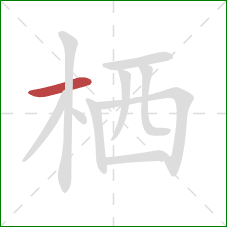 栖的笔顺第1画:横 栖的笔顺第1画:横