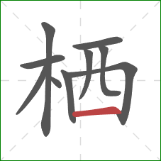 栖的笔顺第10画:横 栖的笔顺第10画:横