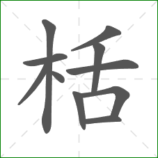 栝的笔顺