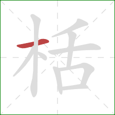 栝的笔顺第1画：横