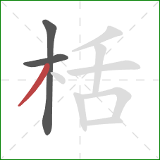 栝的笔顺第3画：撇
