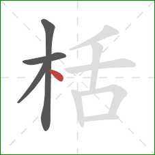 栝的笔顺第4画：点